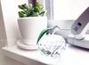 PARK SEVENTEEN Apple Crystal Suncatcher Paperweight, Clear Apple, 5cm Wide, Home Decor, Ornament, Gift, Small Item