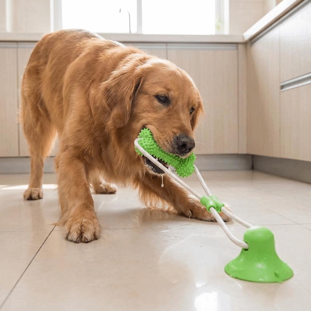 Bite Resistant Puppy Chew Toy Suction Cup Pet Molar Bite Toy Pet Interactive Toys Pet Supplies