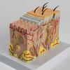 Анатомическая модель кожи 3D-модель обучающих пособий по коже Модель анатомии кожи человека Структура кожи человека Анатомическая модель
