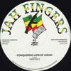 12-дюймовая пластинка VIBRONICS - Conquering Lion Of Judah / Dub Mix  JFR1255 Jah Fingers 2018 UK Регги, Ска и Даб Б/У