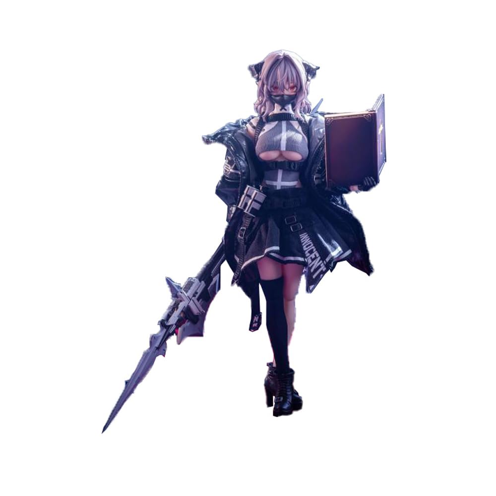 Haski Pocket Art Series PA009 Succubus Sister Friede Standard Approximately 155mm Tall the Top of the Scale Action Figure Made of and Fabric Edition,