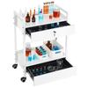 Lab Cart, 2 Tiers Stainless Steel Utility Cart, Medical Cart with 2 Drawers, Rolling Lab Cart White Paint, Serving Cart with Swivel Casters for