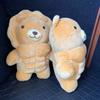 Muscle Body Bear Lion Plush Doll Cute Muscular Plushie Stuffed Toy Kawaii Cartoon Strong Animal Pillow for Boy Girlfriend Gifts
