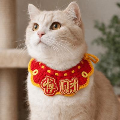 Кошки – Одежда для кошек