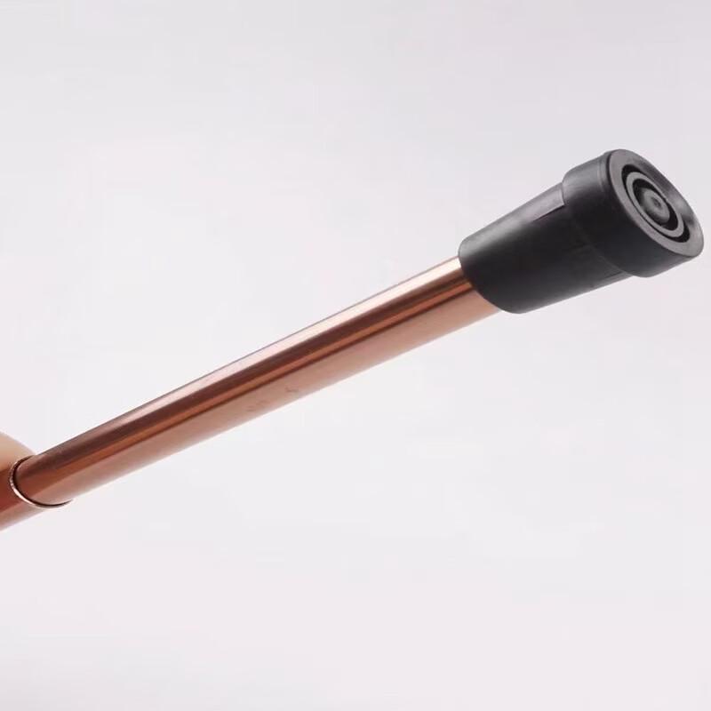 Brangdy Adjustable Trekking Pole