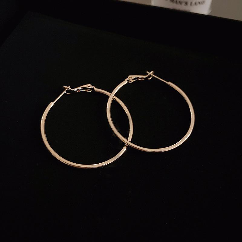 Серебряная Игла Металл Ветер Круглые Геометрические Серьги Модные Для Поездок на Работу Простые Однотонные Кольца Серьги Личность Характер Премиум Серьги