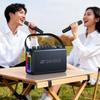 Портативная караоке-колонка SANSUI T27 с двумя микрофонами (Китайская версия)
