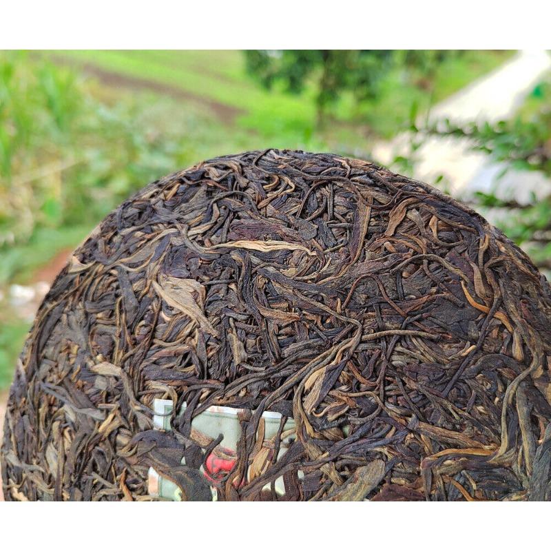 357г Юньнаньский старый сырой чай Пуэр, выдержанный в Гаолигуншане, высокогорный эко