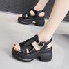Platform Sandals Women's Summer 2025 New Wear High Heels Fashion High Sense Thick Heel Versatile Small Women's Shoes