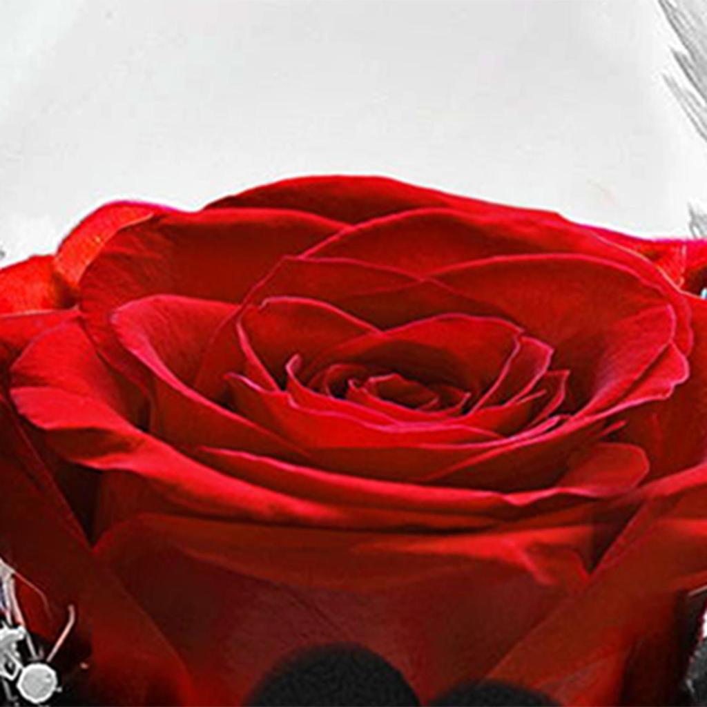 Вечный цветок в стекле Подарок на день рождения маме дочери на свадьбу