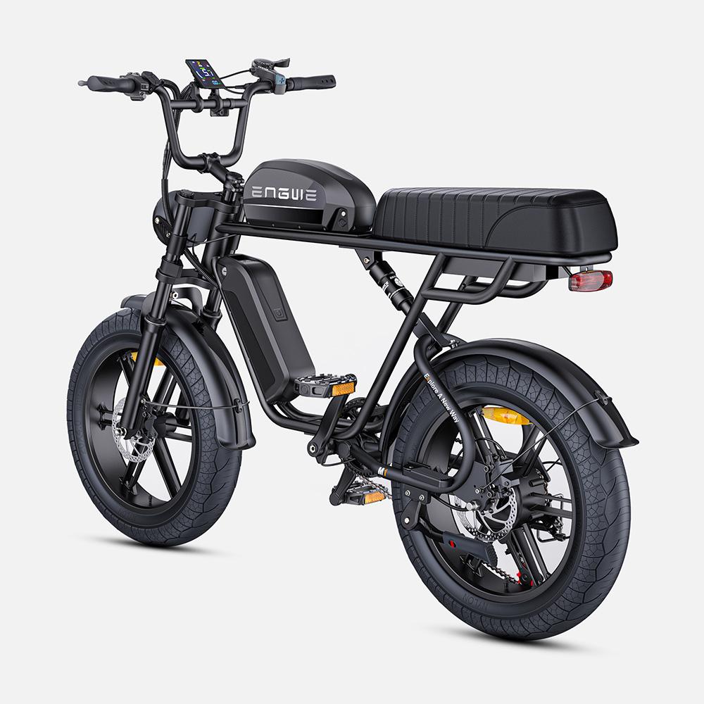 ENGWE M1 Electric Bicycle 250W Motor 48V28.6AH Dual Battery Hydraulic Brake Electric Bike 20*4.0-In Fat Tire All Terrain E-bike