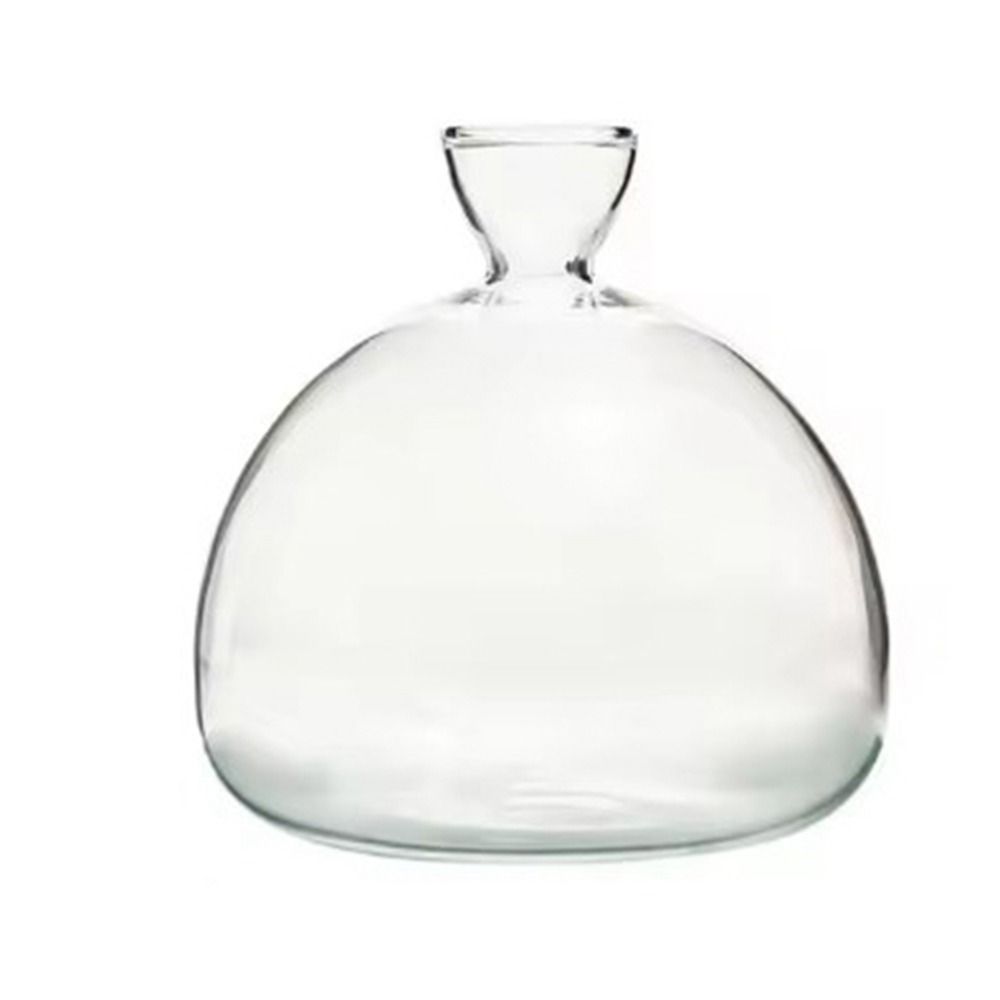 Heat Resistant Japanese Hydroponic Vase Transparent High-grade Glass Vase Container Easy to Carry Special Vase Pot Holidays Gift