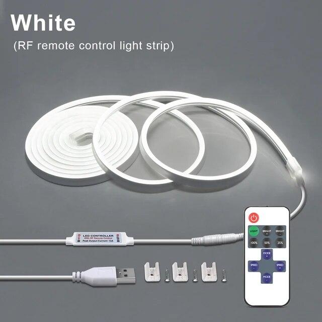 5V USB LED Neon Light Strip Touch Sensor Dimmable Flexible Neon Sign Tape 120LED With Wireless Remote Control Ribbon Room Decor