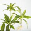 Зеленый искусственный фикус Tenuifolia ветка дерева Большие искусственные растения для домашнего сада Декор для вечеринки