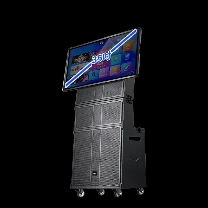 SAST Portable KTV Speaker System CN plug (adapter included) (CN version)