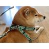 Small Dog, Medium-sized Dog Harness, Dog Walking Leash, Shiba Inu Harness, Anti-flip Arabesque Pattern Chest Strap, Lead Leash Set, M, Green