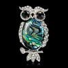 Women Fashion Owl Shell Broochpins Elegant All-match Scarf Buckle Suit Brooches Decoration