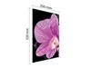 SZKLANA DESKA DO KROJENIA 35x52 ORCHIDEA