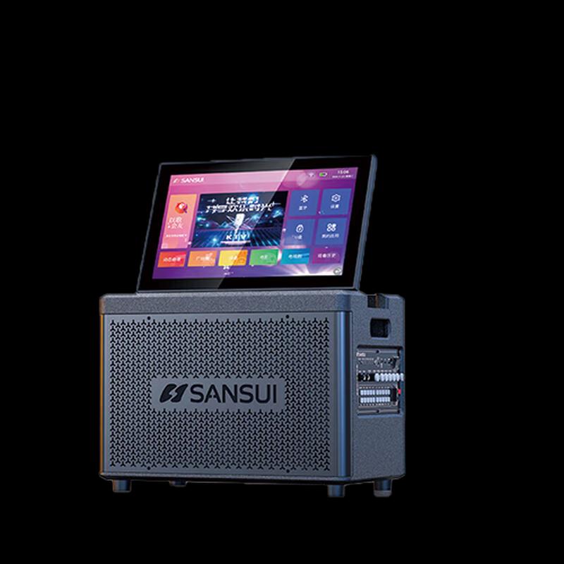 Shanshui C11 All-in-One Portable Karaoke System