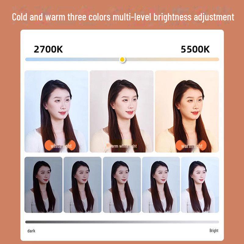 11-дюймовый портативный светодиодный заполняющий свет для профессиональной уличной фотосъемки