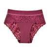 Women Underpants High Waist Hollow Out Lace Soft Breathable Anti-septic Stretchy Moisture-wicking Flower Embroidery Mesh Lady Panties Briefs