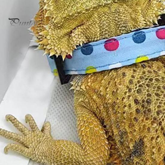 1 комплект поводка для ящерицы, регулируемая тяговая веревка и ошейник для рептилий, прочный удобный поводок для домашних животных для приключений на свежем воздухе