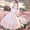 Original Design Sweet Lolita Dress with Flowers & Poetry OP