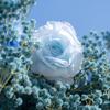 Uflower Искусственный Цветочный Рулонный Занавес Синяя Ткань Цветочный Фон для Свадебного Мероприятия Вечеринки Декорации Занавес