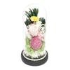 Offering Glass Dome Arrangement Preserved Flowers Kokoro