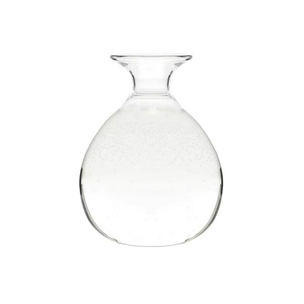 Heat Resistant Japanese Hydroponic Vase Transparent High-grade Glass Vase Container Easy to Carry Special Vase Pot Holidays Gift