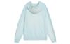 Jordan Flight Fleece Sweatshirt Men's Light Dew Green FV7250-368