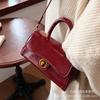 New Popular Portable Small Square Bag Autumn and Winter Retro Versatile Messenger Bag 2025 Trendy Fashion Versatile Shoulder Bag Women