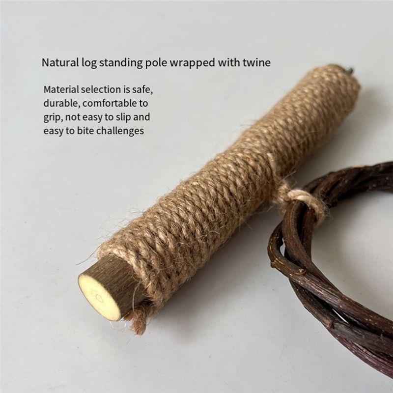 Practical-Bird Swing Set Swing Hanging Natural Cage Accessories Bird With Suction Cup Bird Standing