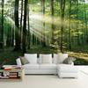 Woods Sunlight Green Forest 3D Photo Wallpaper Bedroom Living Room Sofa TV Background Wall Murals