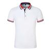 TYF 807 45 Yarn 210G Ice Silk Cotton Pique POLO (white Label) Women's