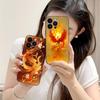 Роскошный Чехол для Мобильного Телефона Феникс для iPhone 17 16 15 14 13 12 11 X XR XS 8 7 Air Pro Max Plus Mini Красочный Чехол Красивый