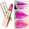 Lipstick Waterproof Long Lasting Red Lipsticks Resistant Rose Lip Stick Velvet Lipstic Cosmetic Girl Women Makeup