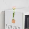 Гидропонные растения Ваза-пробирка Магнит на окно/холодильник Деревянная подставка Размножение растений
