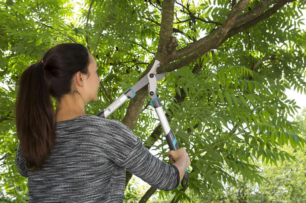 GARDENA Branch Cutting Thick Branch Cutting Cutting Diameter Bypass Grass Branch EnergyCut 600B Made In Up To 25 Years Product Up To 25 Years Shears,