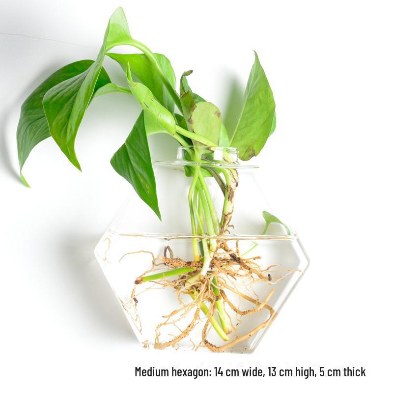 Ваза из выдувного стекла ручной работы для украшения стен и цветочных композиций