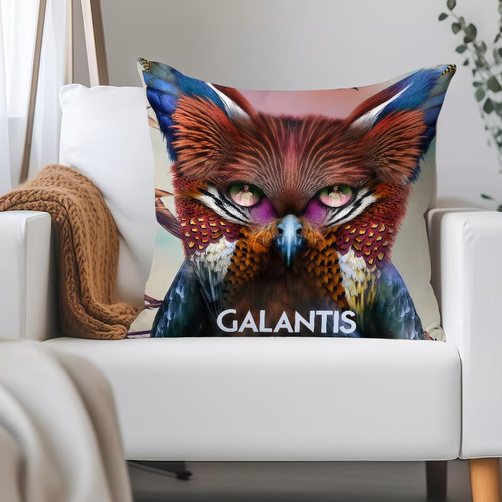 Singer S-Selena Gomez Pillow Case Applicable Space For Guest Rooms Interiors Cars Office House Decoration