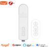 Умный Zigbee DIY Моторизованный Цепной Электрический Мотор для Штор Рулонных Штор Жалюзи Шаттер Привод Работает с Tuya Alexa Google Home Алиса