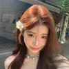 Plastic Gradient Flower Hairpins Mid Size Girls Duckbill Clip Flower Hair Clip  Girls/Ladies