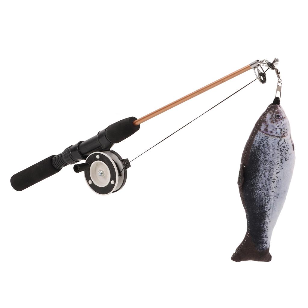 Retractable Cat Teaser Wand Toy Interactive Fishing Rod with Simulation Fish for Cats(Salmon