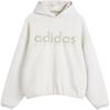 Adidas X Fear of God Athletics Худи Вересково-серый Мужские Топы JZ7366