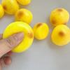 Игрушка для снятия стресса Реалистичная шкурка от картофельного пюре Мягкая набитая игрушка-антистресс Тесто с медленным восстановлением для взрослых и подростков