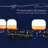 CD PRACTICALLY EINSTEIN  From The Other Side Of The Window CDRPM0086 ODDMAN 2003 Europe Rock Used