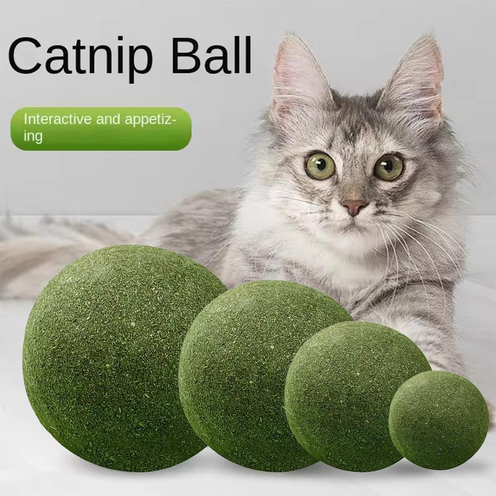 Catnip Ball Extra Large 10cm Jumbo Giant Catnip Fruit Toy For Fresh Breath Cat Toy Home Cat Care Supplies Funny Stick Sisal Bell