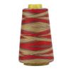 3000 Yards Variegated Embroidery Thread Rich Bright Colors High Strength Polyester Thread for