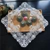 European-style Mesh Embroidery Square Table Mat Fruit Plate Tea Set Coffee Cup Grape Rack Cover Cloth Christmas Wedding Decor